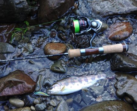 久しぶりのアマゴ釣り